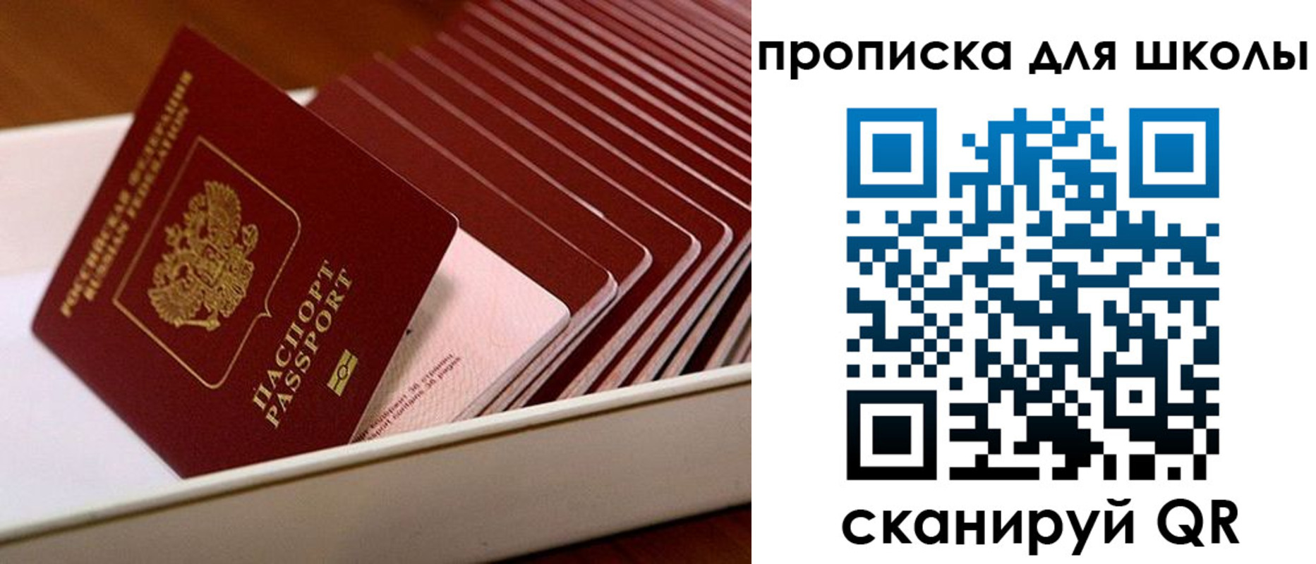 временная регистрация гарантия в Лосино-Петровском